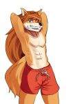  anthro bone boxers_(clothing) canid canine canis clothing domestic_dog fur hi_res male mammal muscular muscular_male orange_body orange_fur red_savarin solatorobo solo soonico spitz underwear video_games 