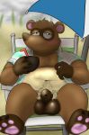  2020 absurd_res animal_crossing anthro balls beach blush brown_body brown_fur canid canine clothing flaccid fur genitals hi_res humanoid_hands male mammal nintendo outside overweight overweight_male penis raccoon_dog seaside shirt sitting solo spikysketches tanuki tom_nook_(animal_crossing) topwear video_games 
