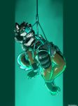  anthro bdsm bondage bound canid canine canis danji-isthmus domestic_dog hi_res male mammal muzzle_(object) muzzled solo suspension 