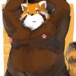  1:1 2020 ailurid anthro belly blush hi_res kemono male mammal moobs navel nipples overweight overweight_male red_panda simple_background solo yuuya333 