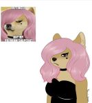  &lt;3 2020 angry anthro biped black_clothing black_dress black_nose breasts canid canine canis choker clothed clothing digital_media_(artwork) doge domestic_dog donniedaxx dress english_text eyeliner facial_piercing female flat_colors fully_clothed fur hair half-length_portrait impact_(font) inner_ear_fluff insult jewelry looking_at_viewer makeup mammal medium_breasts meme necklace nose_piercing piercing pink_hair portrait real reference_image shiba_inu signature simple_background snout solo spitz standing tan_body tan_fur text thot tuft whiskers white_background 