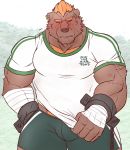  2018 5_fingers anthro barghest_(tas) barguest_(tas) big_muscles black_nose blush bodily_fluids body_hair bottomwear brown_body brown_fur bulge chest_hair clothing ear_piercing ear_ring embarrassed eyes_closed fingers fur hair happy_trail hi_res humanoid_hands jewelry male mammal muscular muscular_male necklace orange_hair piercing scar shackles shirt shorts simple_background solo standing sweat sweatdrop t-shirt tamura_kazumasa tokyo_afterschool_summoners topwear ursid video_games wraps wrist_wraps 