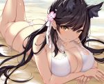  animal_ears anthropomorphism ass atago_(azur_lane) azur_lane beach bikini black_hair blush breast_hold breasts brown_eyes cleavage cropped foxgirl ikomochi long_hair swimsuit 