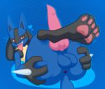  &lt;3 animal_genitalia animal_penis anthro anus balls big_butt black_body black_fur blue_background blue_body blue_fur bodily_fluids butt butt_grab canine_penis drooling erection fur genitals gloves_(marking) hand_on_butt inviting knot legs_up looking_at_viewer lucario male markings nintendo open_mouth pawpads penis pok&eacute;mon pok&eacute;mon_(species) presenting presenting_anus presenting_hindquarters red_eyes saliva simple_background solo spikes spread_butt spreading thanu tongue tongue_out video_games 