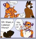  2018 5_fingers anthro cainamar canid canine canis collar comic digital_media_(artwork) domestic_dog duo english_text felid fingers fur hi_res machairodontine male mammal nude open_mouth orange_body orange_fur pantherine striped_body striped_fur stripes teeth text tiger tongue yeou 