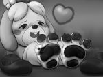  3_toes 4:3 animal_crossing anthro barefoot bodily_fluids canid canine canis claws domestic_dog feet female fooooly foot_fetish foot_focus gentle_giant isabelle_(animal_crossing) love macro mammal monochrome nintendo pawpads paws shih_tzu soles sweat toe_claws toes toy_dog video_games worship 