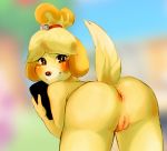  animal_crossing anthro anus bent_over big_butt blush butt butt_focus canid canine canis clipboard domestic_dog female fur genitals hair isabelle_(animal_crossing) looking_at_viewer looking_back malivaughn mammal nintendo nude presenting presenting_hindquarters pussy shih_tzu smile solo standing thick_thighs toy_dog video_games wide_hips yellow_body yellow_fur 