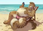  anthro beach beach_chair belly body_hair chest_hair chubby-shark clothed clothing detailed_bulge domestic_cat felid feline felis fish happy_trail hybrid male mammal marine outside overweight overweight_male public seaside shark sitting sky solo sunscreen water 