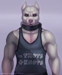  2020 anthro canid canine canis clothing collar domestic_dog looking_at_viewer male mammal pit_bull signature simple_background solo zeta-haru 