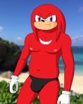 anthro beach bulge clothed clothing drreverb echidna fur gloves handwear hi_res knuckles_the_echidna male mammal monotreme nipples pecs red_body red_fur seaside sega smile solo sonic_the_hedgehog_(series) speedo swimwear thong underwear video_games 