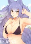  1girl absurdres animal_ears arknights arm_up armpits artist_name bangs bare_shoulders bikini black_bikini blue_sky blush braid breasts brown_eyes character_name cloud collarbone commentary daiishori day eyebrows_visible_through_hair hair_between_eyes halterneck highres large_breasts long_hair looking_at_viewer mouth_hold outdoors provence_(arknights) purple_hair sky smile solo stomach swimsuit tail upper_body wolf_ears wolf_tail 
