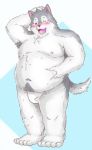  2020 anthro belly blush bulge canid canine canis clothing domestic_dog humanoid_hands husky kemono male mammal moobs nipples nordic_sled_dog one_eye_closed overweight overweight_male ran_ran_629 solo spitz underwear wink 
