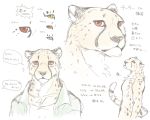  2016 5:4 blush cheetah felid feline giraffe_(artist) japanese_text looking_at_viewer male mammal simple_background solo text translation_request white_background 