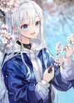  1girl artist_name bangs blue_eyes blue_jacket blurry blurry_background cherry_blossoms commentary_request eyebrows_visible_through_hair hair_between_eyes highres holding hood hoodie jacket long_hair long_sleeves open_clothes open_jacket original silver_hair solo spring_(season) teeth unity_(ekvmsp02) white_hair white_hoodie 