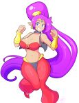  absurd_res blue_eyes breasts clothing ear_piercing ear_ring female footwear genie hair hi_res humanoid humanoid_pointy_ears long_hair navel not_furry piercing ponytail purple_hair shantae shantae_(series) simple_background smile solo theycallhimcake topwear vest video_games wayforward 