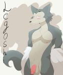  absurd_res alex_kitsune anthro balls beastars blush canid canine canis clothed clothing flaccid genitals hi_res legoshi_(beastars) looking_at_viewer male mammal nervous partially_clothed penis presenting shy simple_background solo solo_focus standing wolf 