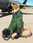  2020 aircraft airforce airplane anthro armor canid canine carol_danvers clothing female hair headgear helmet hi_res kaboozey mammal outside solo suit uniform 