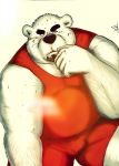  2014 anthro belly bulge hi_res hokin_the_bear humanoid_hands male mammal overweight overweight_male simple_background solo ursid wrestling_singlet 