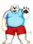  2016 3:4 anthro belly bottomwear clothing fur hi_res hokin_the_bear male mammal overweight overweight_male polar_bear shirt shorts simple_background solo topwear ursid ursine white_background white_body white_fur 