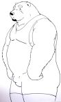  2013 anthro beard belly bulge facial_hair hi_res hokin_the_bear male mammal overweight overweight_male simple_background solo ursid white_background wrestling_singlet 