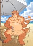  anthro balls beach belly blush brown_body brown_fur canid canine condom detailed_background erection fur genitals hi_res humanoid_genitalia humanoid_hands humanoid_penis japanese_text kemono male mammal moobs navel nipples outside overweight overweight_male penis ryuta-h seaside sexual_barrier_device sitting solo text water 