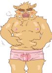  2008 anthro belly blush brown_body brown_fur bulge clothing fur humanoid_hands kemono male mammal moobs navel nipples ryuta-h simple_background slightly_chubby solo suid suina sus_(pig) underwear white_background wild_boar 