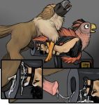  anthro avian bound breeding_mount chastity_cage chastity_device duo equid equine european_mythology feral gag greek_mythology hi_res hippogriff male male/male mammal mythological_avian mythology pasiphae_structure pirate_eagle ring_gag 