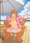  anthro beach blush brown_body brown_fur canid canine clothed clothing detailed_background fur hi_res humanoid_hands kemono male mammal one_eye_closed open_shirt outside overweight overweight_male ryuta-h seaside shirt sitting solo swimwear topwear water wink 