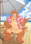  anthro balls beach belly blush brown_body brown_fur canid canine clothed clothing detailed_background fur genitals hi_res humanoid_genitalia humanoid_hands humanoid_penis kemono male mammal moobs navel open_shirt outside overweight overweight_male penis ryuta-h seaside shirt sitting solo topwear water 