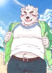  2018 anthro beach belly blush bottomwear clothing hi_res humanoid_hands kemono male mammal outside overweight overweight_male pants ryuta-h seaside shirt solo topwear ursid water 