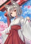  1girl :o animal_ear_fluff animal_ears bangs blush cherry_blossoms cloud commentary_request eyebrows_visible_through_hair hakama highres inubashiri_momiji japanese_clothes long_sleeves looking_at_viewer mamemochi miko red_eyes red_hakama short_hair silver_hair sky solo torii touhou wide_sleeves wolf_ears 