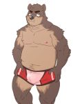  2017 anthro belly blush brown_body brown_fur bulge clothing fur kemono male mammal moobs navel nipples overweight overweight_male ryuta-h simple_background solo underwear ursid white_background 
