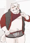  anthro belly blush bulge canid canine clothing fur hi_res kemono male mammal moobs navel nipples overweight overweight_male ryuta-h shirt solo topwear underwear white_body white_fur 