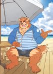  anthro beach bottomwear brown_body brown_fur canid canine clothing detailed_background fur hi_res hoodie kemono male mammal outside overweight overweight_male ryuta-h seaside shorts sitting solo topwear water 