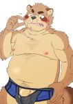  2018 anthro belly blush brown_body brown_fur bulge canid canine clothing fur genitals humanoid_hands kemono male mammal moobs navel nipples overweight overweight_male penis raccoon_dog ryuta-h simple_background solo tanuki underwear white_background 