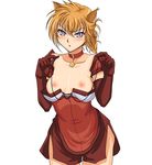  animal_ears blonde_hair blush breasts cat_ears collar elbow_gloves fire_emblem fire_emblem:_akatsuki_no_megami gloves lyre_(fire_emblem) nipples purple_eyes shunzou simple_background small_breasts solo topless tsundere 