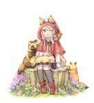  1girl ;d animal_ears animal_on_head animal_on_lap animal_on_shoulder bangs bird bird_on_head black_legwear black_skirt blue_flower bluebird blush boots brown_eyes bunny capelet commentary_request ears_through_headwear eyebrows_visible_through_hair fang flower fox full_body hair_between_eyes hood hood_up hooded_capelet kneehighs long_hair long_sleeves on_head one_eye_closed open_mouth original pink_hair pleated_skirt purple_flower raccoon red_capelet red_footwear shirt simple_background sitting skirt smile solo squirrel tail tree_stump wataame27 white_background white_flower white_shirt wolf-chan_(wataame27) wolf_ears wolf_girl wolf_tail 