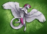  2016 bird&#039;s-eye_view claws convenient_censorship digital_media_(artwork) dragon feathered_wings feathers feral fur furred_dragon grass grey_claws hair high-angle_view looking_at_viewer lying male nylla on_back pink_eyes pink_hair quadruped solo tail_censorship tail_tuft theowlette tuft white_body white_feathers white_fur white_tail white_wings wings 