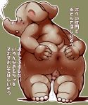 2011 anthro anus balls blush bodily_fluids butt cum cum_on_ground elephant elephantid genital_fluids genitals hi_res humanoid_hands japanese_text kemono male mammal overweight overweight_male penis proboscidean ruco simple_background solo sweat text young 