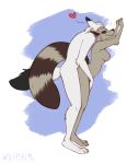  &lt;3 aaron_fox absurd_res anthro arctic_fox bodyguard_position breasts canid canine duo erect_nipples female fox from_behind_position from_side hi_res hip_grab love male male/female mammal married_couple nipples procyonid raccoon raised_tail robin_raccoon romantic_ambiance sex side_boob standing standing_sex wolfpsalm 