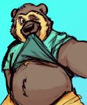  2020 anthro belly blue_background clothed clothing hi_res lentejota6 male mammal one_eye_closed open_shirt overweight overweight_male shirt simple_background solo spectacled_bear topwear tremarctine ursid wink 