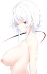 1girl bangs breasts collarbone commentary_request from_side frown highres large_breasts looking_at_viewer nipples original otokuyou red_eyes short_hair sidelocks simple_background solo topless white_background white_hair 