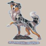  1:1 2019 ambiguous_gender australian_shepherd black_nose canid canine canis domestic_dog feral full-length_portrait fur fur_tuft grey_body grey_fur herding_dog heterochromia hi_res mammal multicolored_body multicolored_ears multicolored_fur multicolored_tail pastoral_dog portrait quadruped sheepdog simple_background solo tuft vhitany 