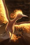  ambiguous_gender beak butt-berry fire flying hi_res legendary_pok&eacute;mon moltres nintendo pok&eacute;mon pok&eacute;mon_(species) signature smoke solo text url video_games volcano wings 