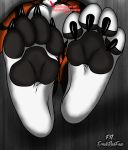  &lt;3 4_toes beans big_feet canid canine claws english_text erickredfox feet foot_focus fox hi_res hindpaw mammal pawpads paws redrick soles text toe_claws toes 