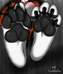  &lt;3 4_toes anthro beans big_feet canid canine claws english_text erickredfox feet foot_fetish foot_focus fox hi_res hindpaw mammal pawpads paws redrick text toe_claws toes 