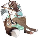  2020 5_fingers alpha_channel anthro breasts brown_hair canid canine canis collar digital_media_(artwork) female fingers gizmo0sue hair hi_res mammal navel smile solo wolf 
