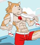  2020 alloglove anthro canid canine canis clothing cloud cute_face digital_media_(artwork) domestic_dog fluffles_mcfluff lifeguard male mammal muscular nipples outside sea sky smile solo swimming_trunks swimwear towel water whistle 