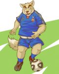  2010 4:5 anthro ball belly bottomwear bulge canid canine clothing humanoid_hands kemono male mammal poisonkinoko shirt shorts slightly_chubby soccer soccer_ball soccer_uniform solo sport sportswear topwear uniform 