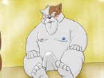  2017 anthro balls barely_visible_balls barely_visible_genitalia belly blush bodily_fluids bullbluedog canid canine canis clothing domestic_dog erection erection_under_clothing eyes_closed fur genitals hi_res humanoid_hands male mammal moobs nipples overweight overweight_male sauna sitting solo sweat white_body white_fur 